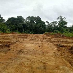 Prime 6000m² Land for Sale in Kribi – Ideal for Investment or Development