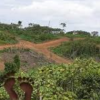 🏡 TERRAIN À VENDRE À LENDI – DOUALA !