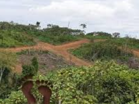 🏡 TERRAIN À VENDRE À LENDI – DOUALA !