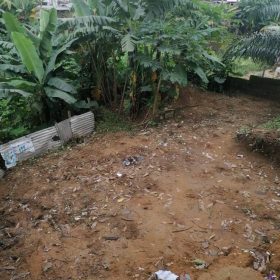Premium Land for Sale in PK 8 Douala – 85,000F/m²!