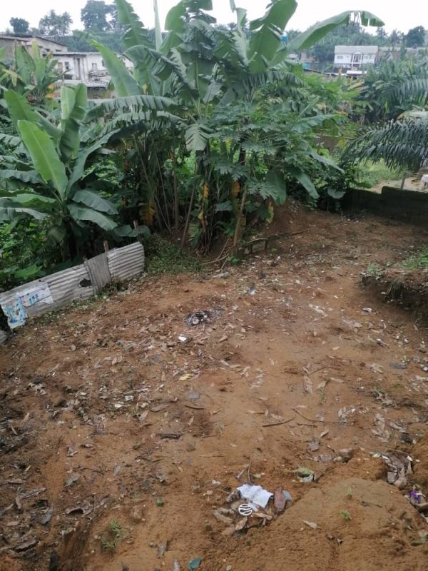 Premium Land for Sale in PK 8 Douala – 85,000F/m²!