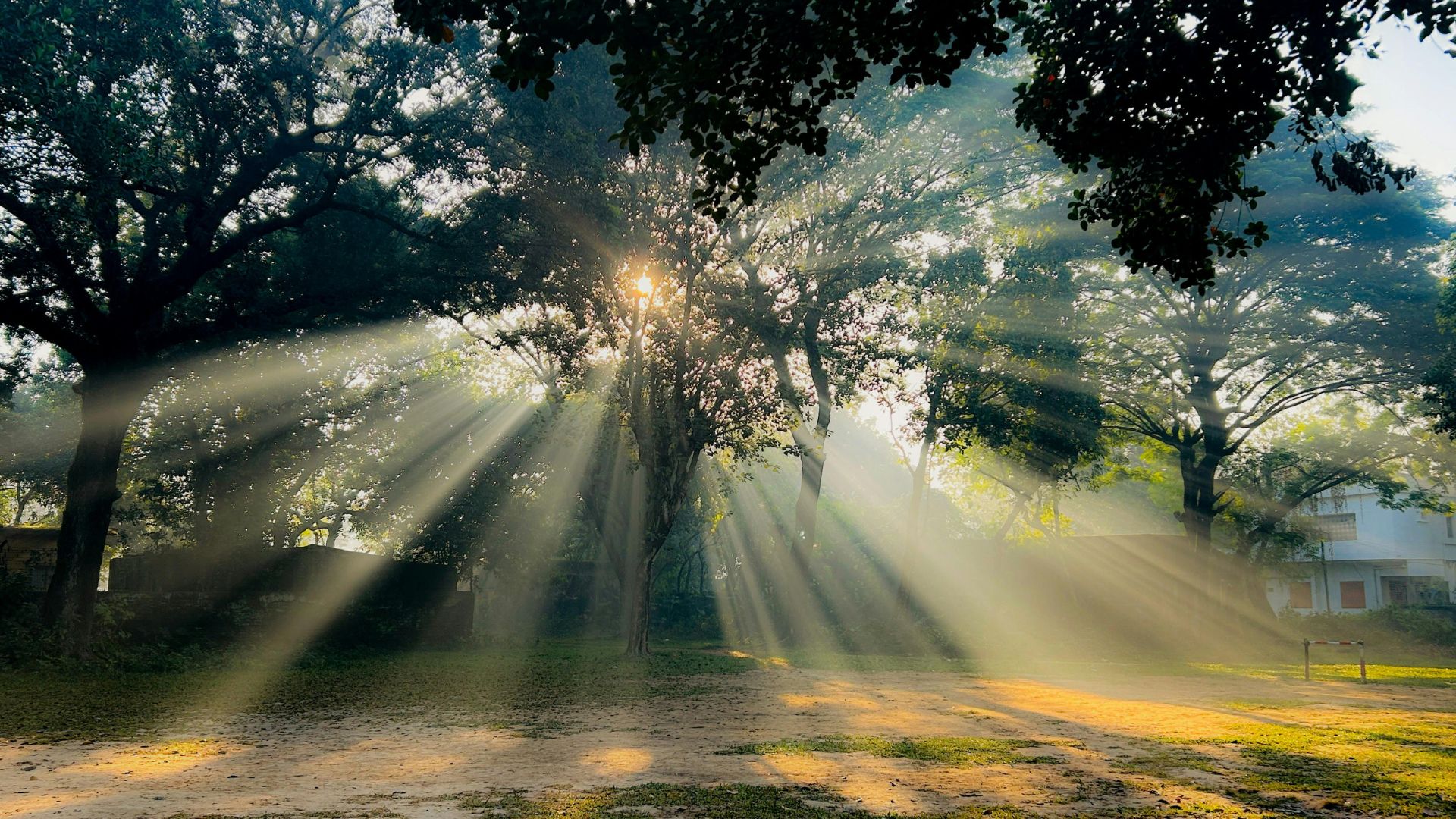 Receive Your Healing Today: A Powerful Healing Prayer for God’s Love, Stability, and Restoration