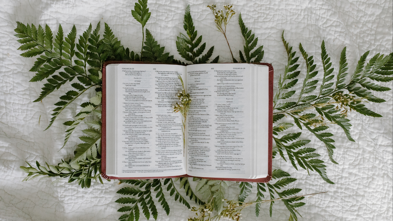 Receive Your Healing Today: Pray These Powerful Psalms